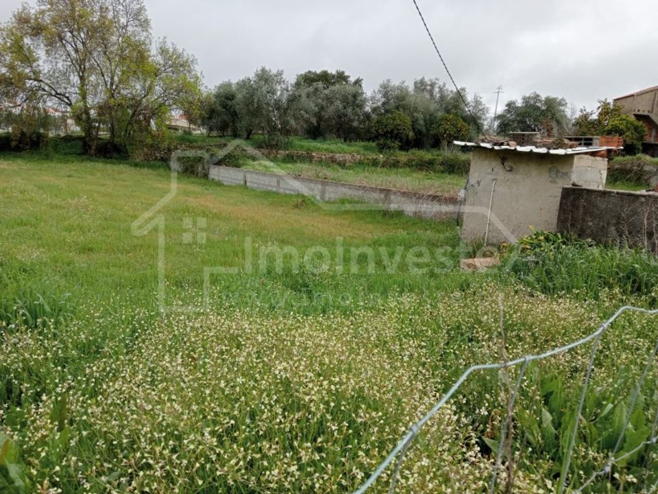 Terra a Ninho do Acor, Castelo Branco - foto 1