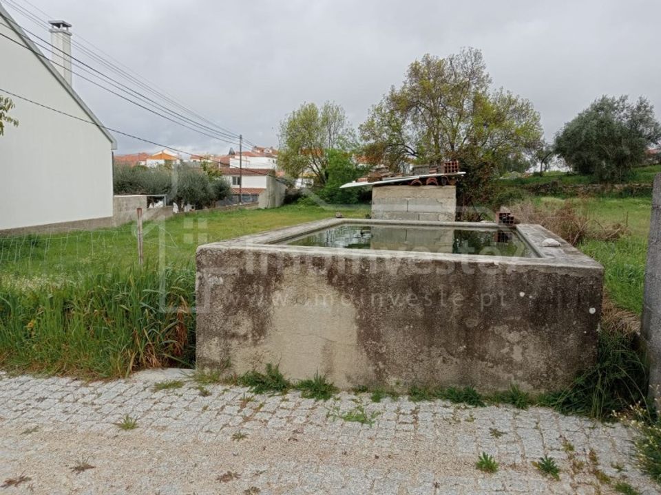 Terra a Ninho do Acor, Castelo Branco - foto 2