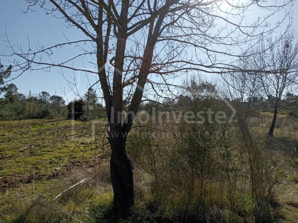 Terreno en Ninho do Acor, Castelo Branco - foto 1