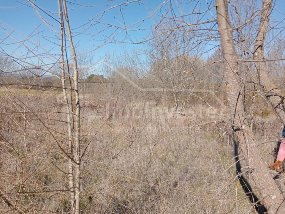 Terreno en Ninho do Acor, Castelo Branco - foto 2
