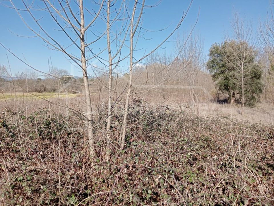 Terreno en Ninho do Acor, Castelo Branco - foto 4