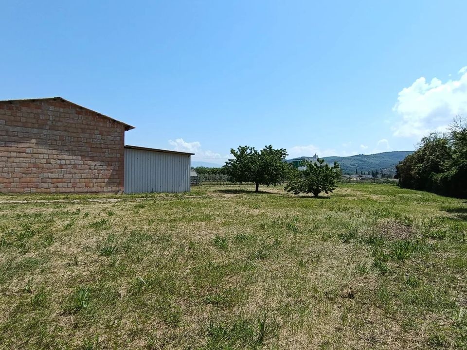 Helårsgrund i Torgiano, Perugia - foto 3