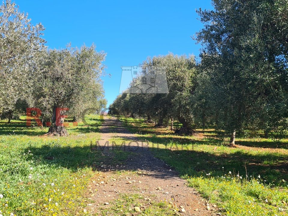Villa i Ostuni, Brindisi - foto 5
