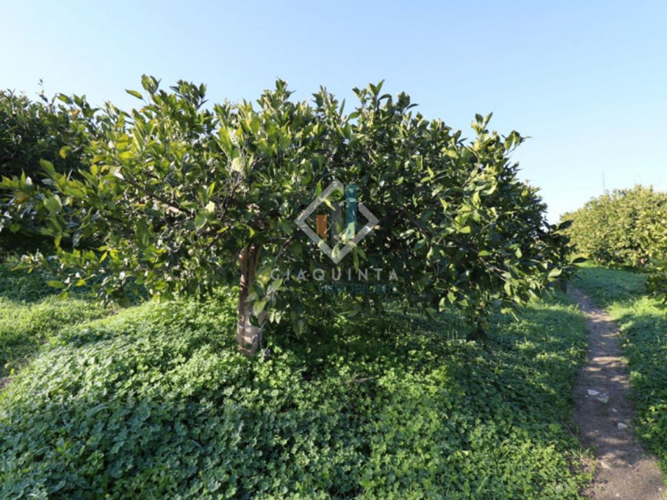 Helårsgrund i Mineo, Catania - foto 2