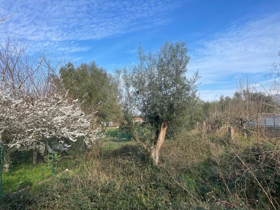 Helårsgrund i Ponte de Lima, Viana do Castelo - foto 1