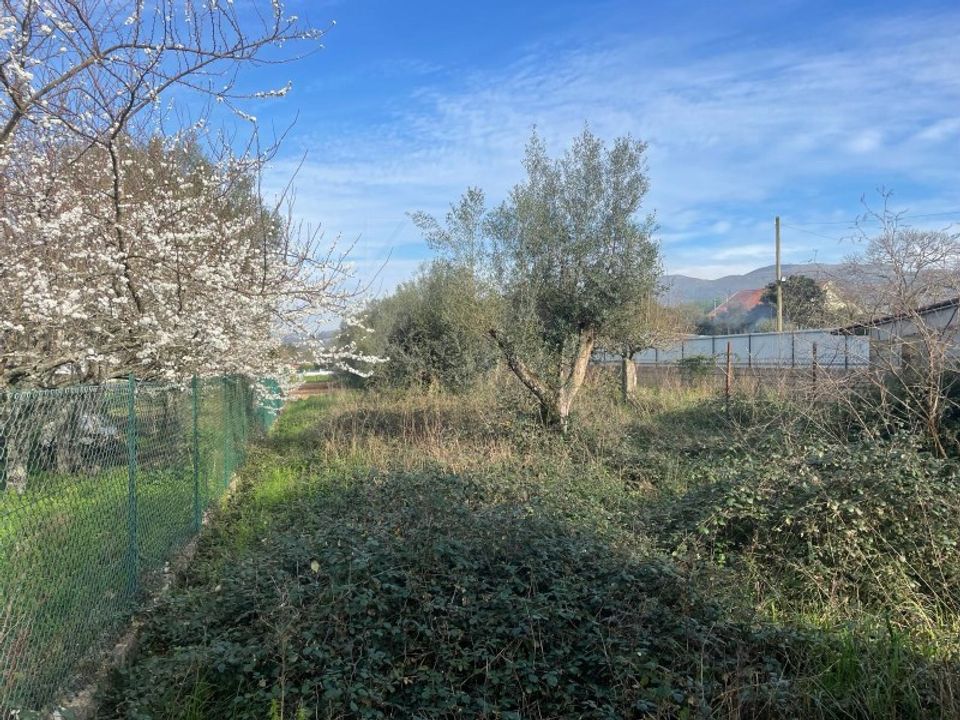 Helårsgrund i Ponte de Lima, Viana do Castelo - foto 2