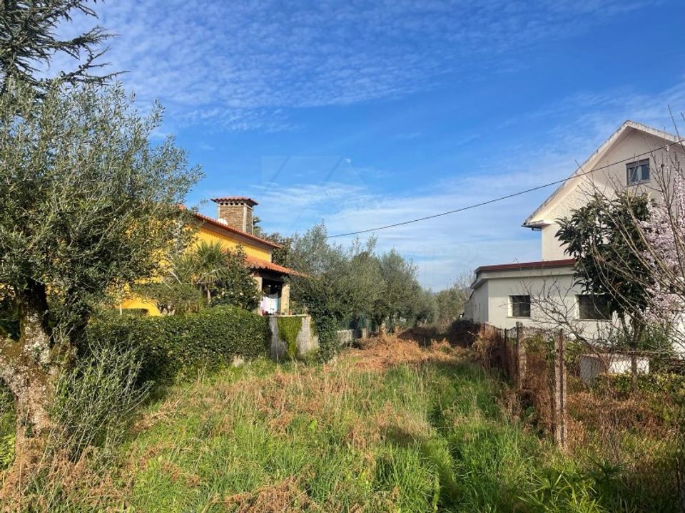 Helårsgrund i Ponte de Lima, Viana do Castelo - foto 3