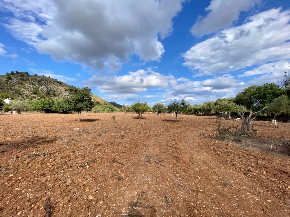 Villa i Pollenca, Mallorca - foto 2