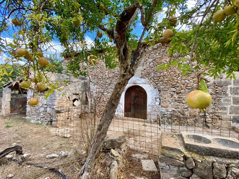 Villa i Pollenca, Mallorca - foto 4