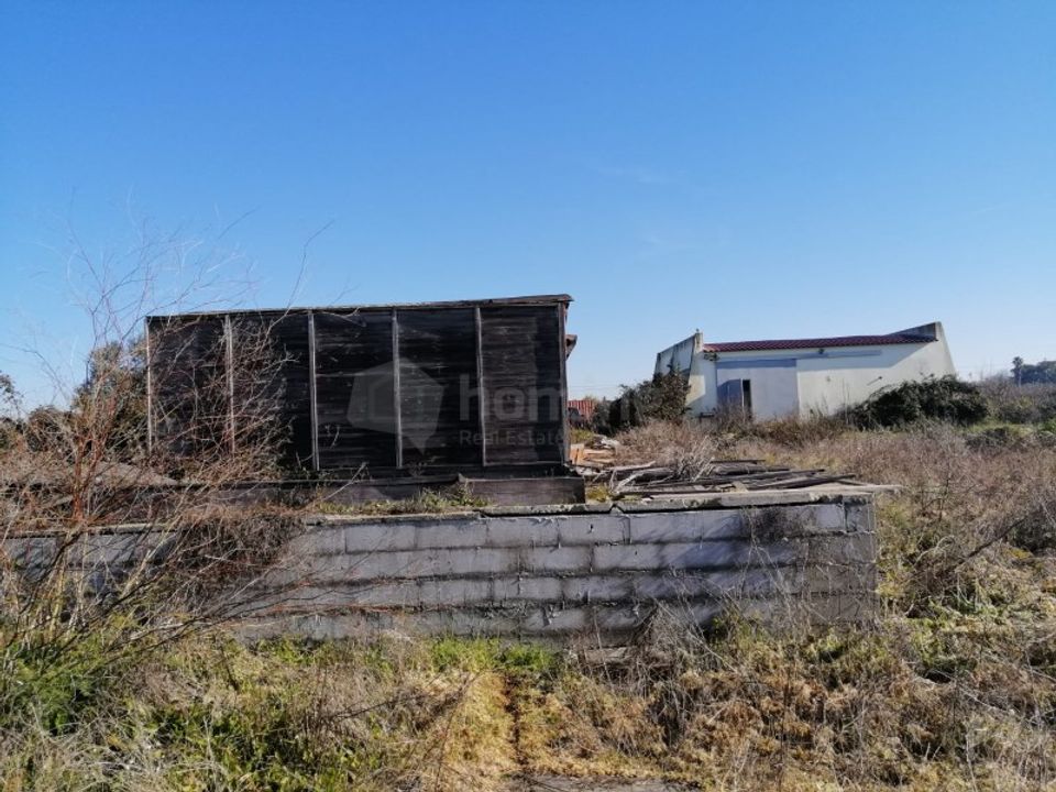 Farm i Palmela, Setubal - foto 2