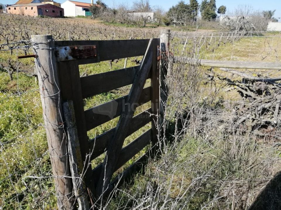 Farm i Palmela, Setubal - foto 3
