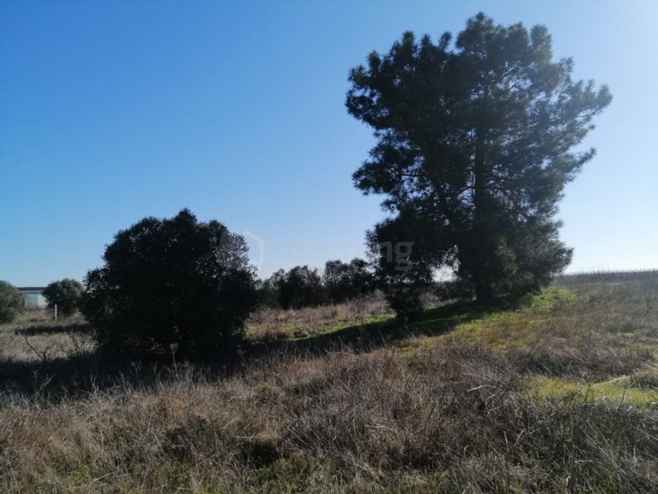 Farm i Palmela, Setubal - foto 4