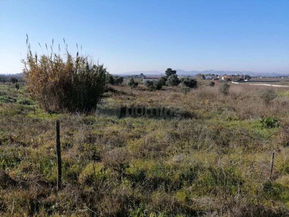 Farm i Palmela, Setubal - foto 5