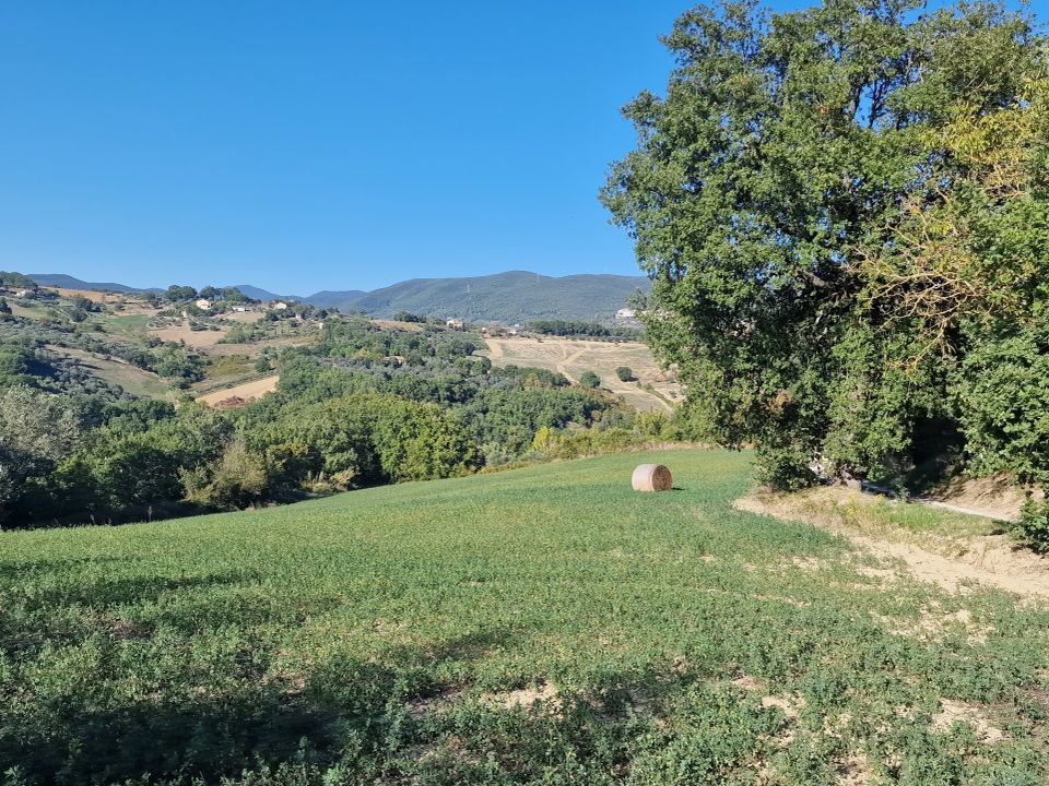 Erhvervsejendom i Lugnano in Teverina, Terni - foto 2