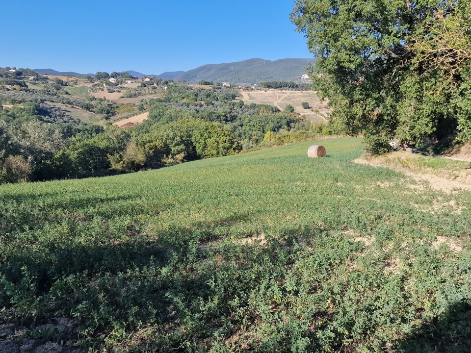 Erhvervsejendom i Lugnano in Teverina, Terni - foto 5