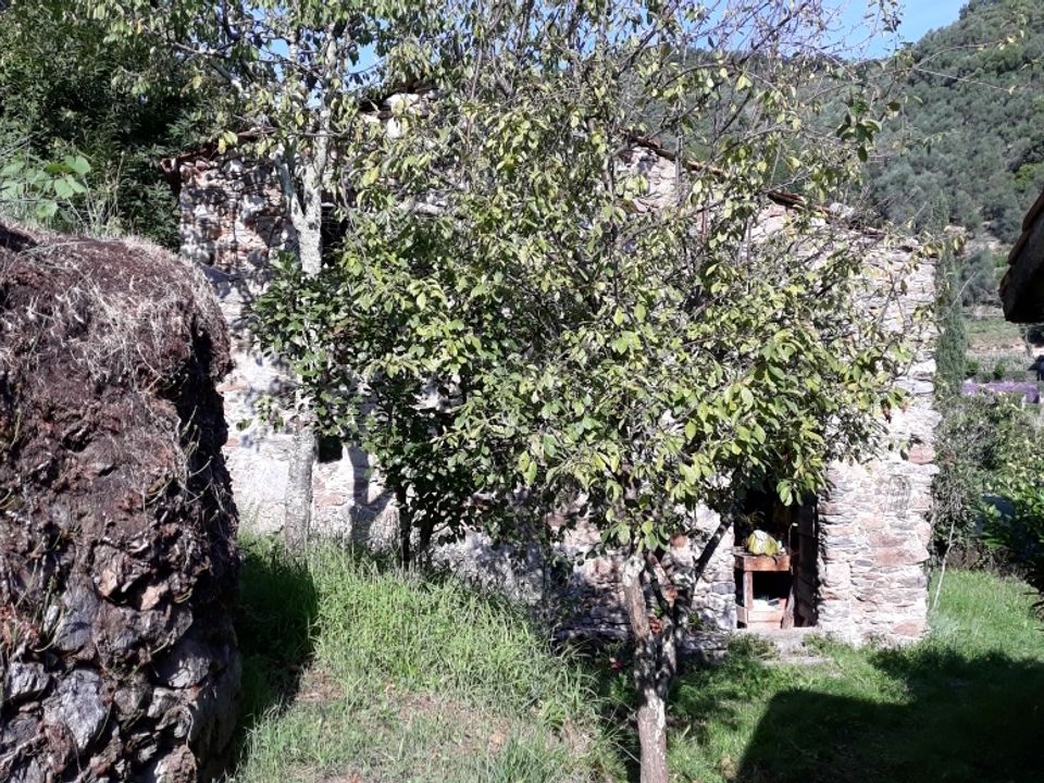 Villa a Ameglia, La Spezia - foto 2