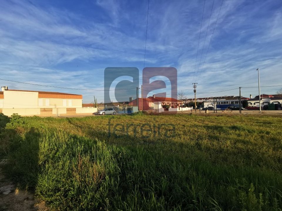 Helårsgrund i Almeirim, Santarem - foto 4