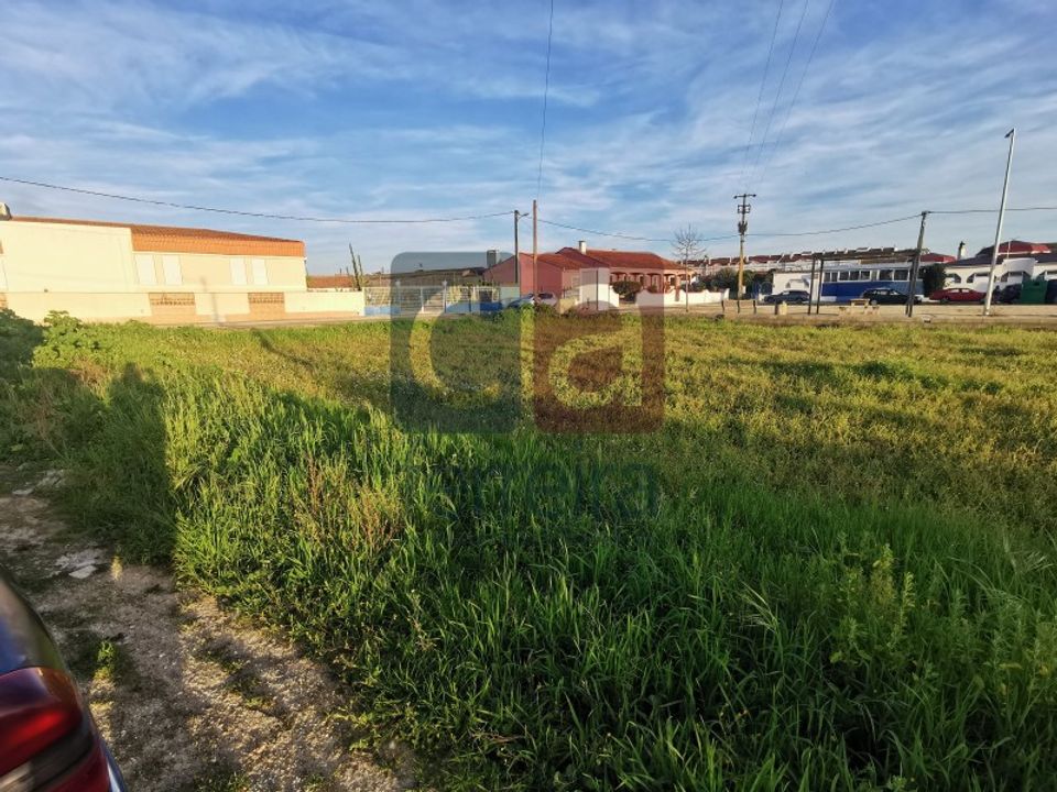 Helårsgrund i Almeirim, Santarem - foto 5