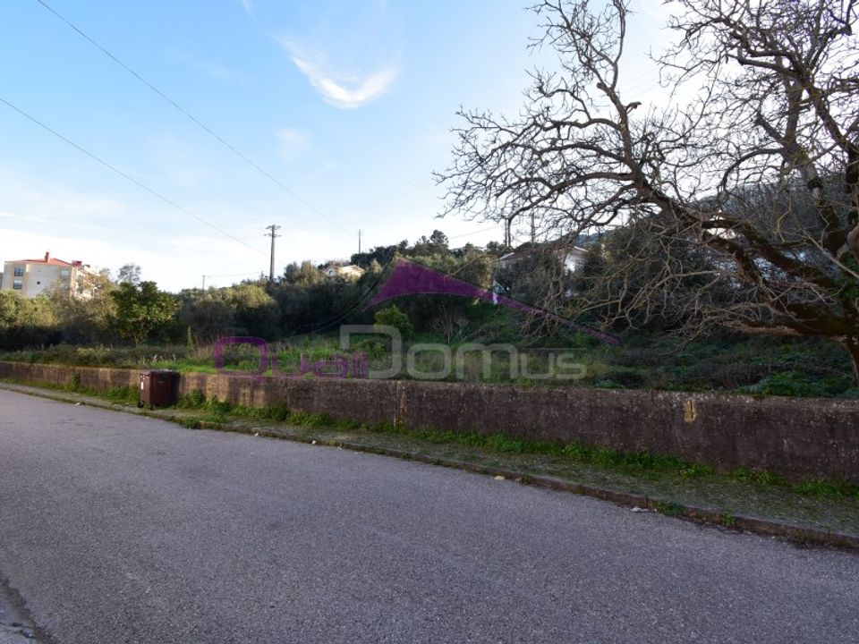 Terra em Minde, Santarem - foto 1