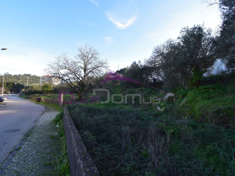 Terra em Minde, Santarem - foto 2
