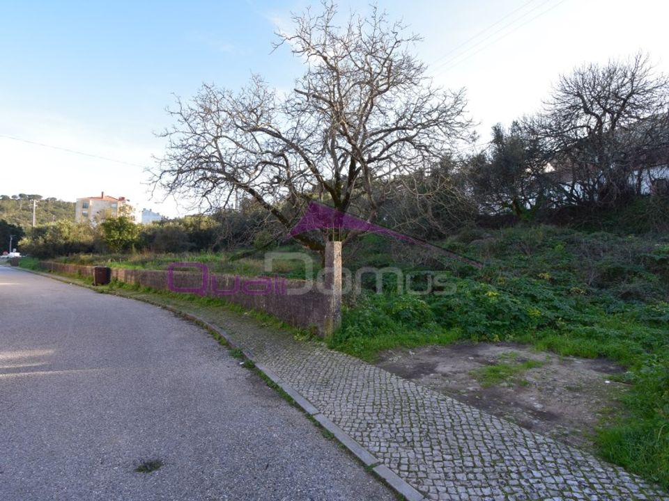 Terra em Minde, Santarem - foto 3
