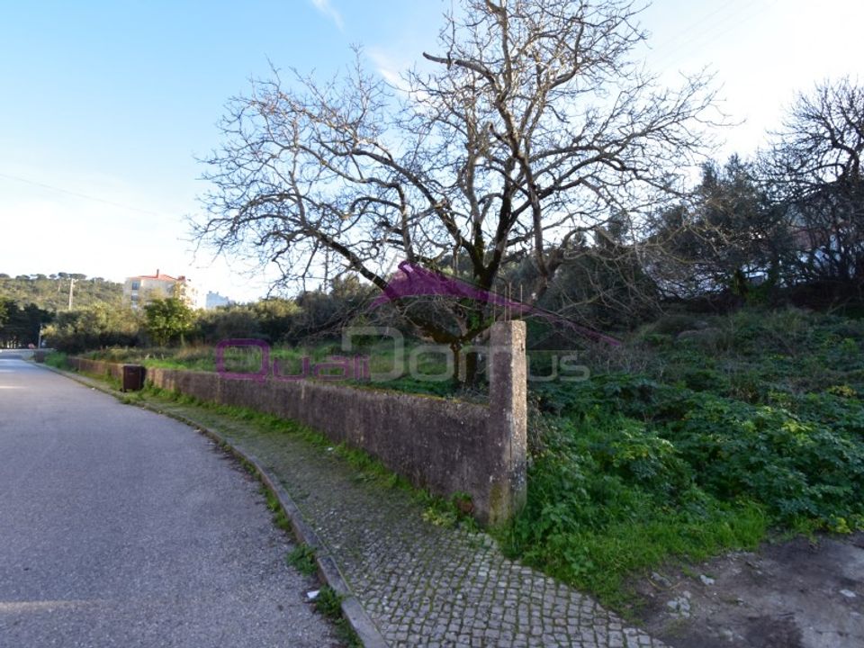 Terra em Minde, Santarem - foto 4