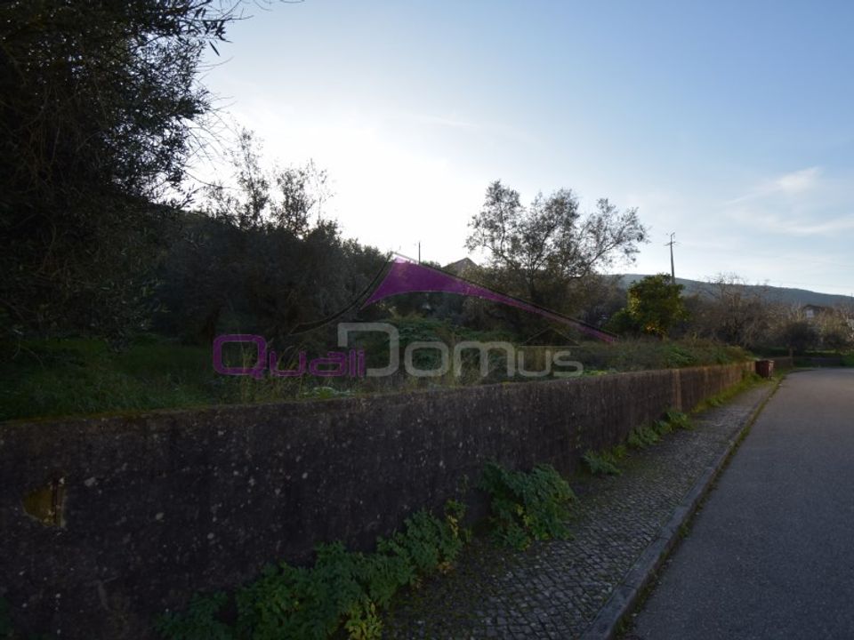 Terra em Minde, Santarem - foto 5