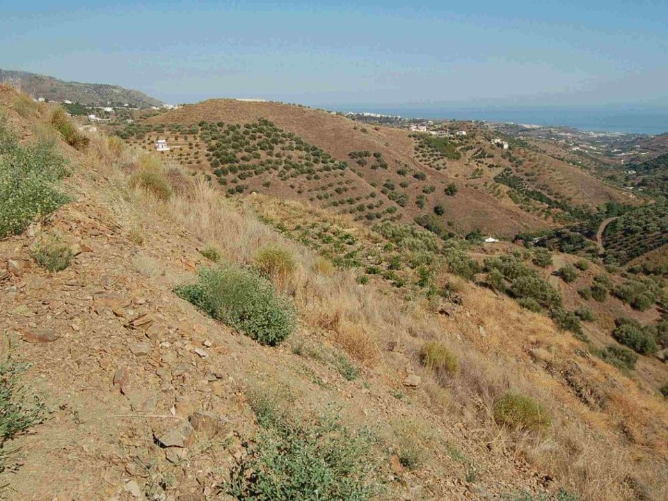 Helårsgrund i Frigiliana, Malaga - foto 4