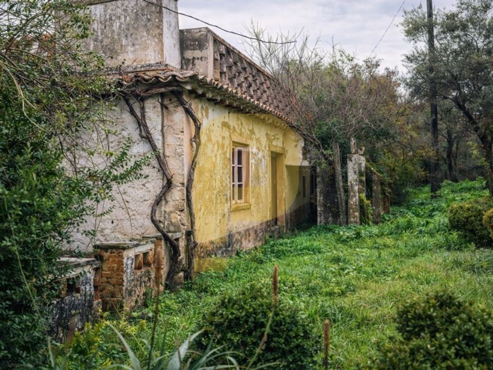 Villa i Castelo de Vide, Portalegre - bilde 2