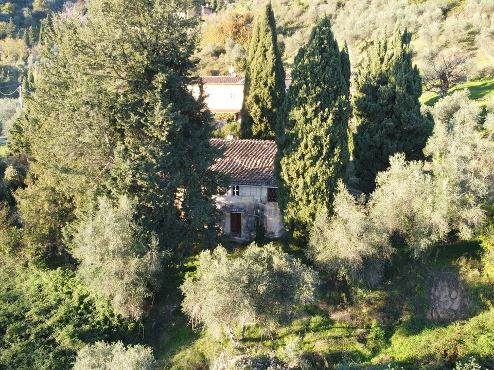 Villa i Lucca, Lucca - foto 4
