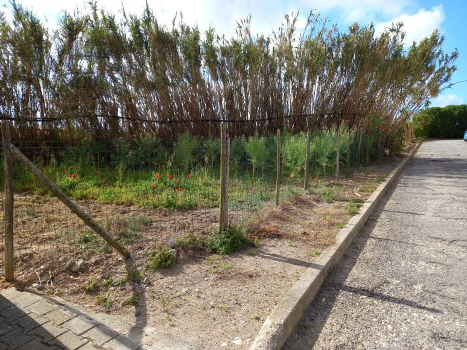 Helårsgrund i Atouguia da Baleia, Leiria - foto 3