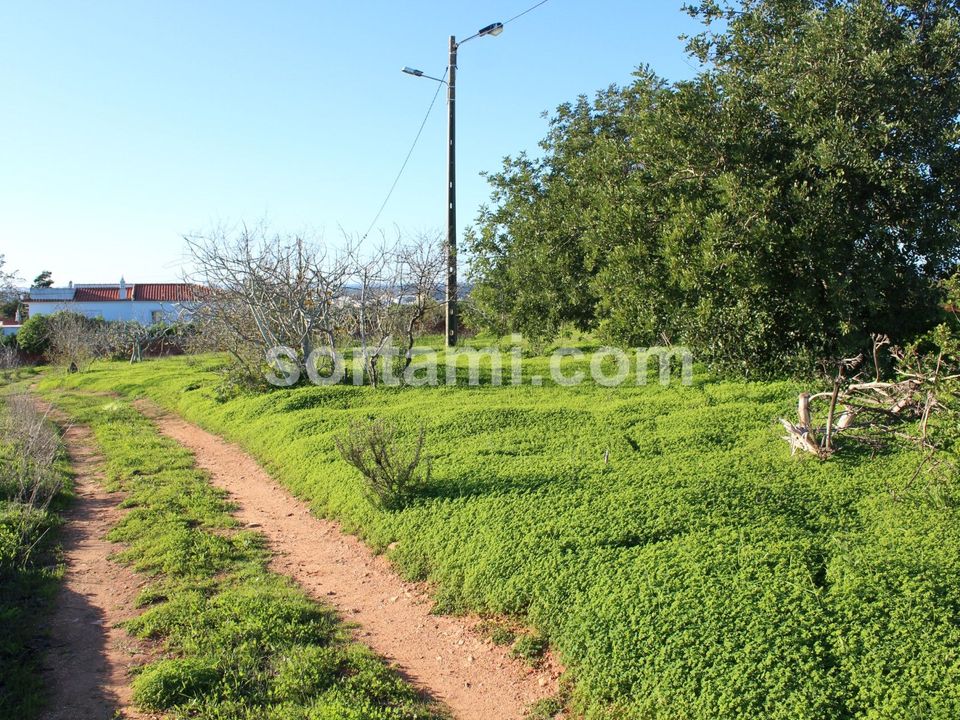 Helårsgrund i Lagoa, Faro - foto 3