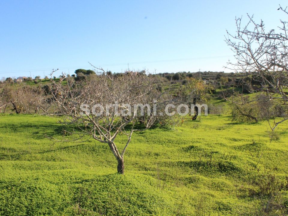 Helårsgrund i Lagoa, Faro - foto 5