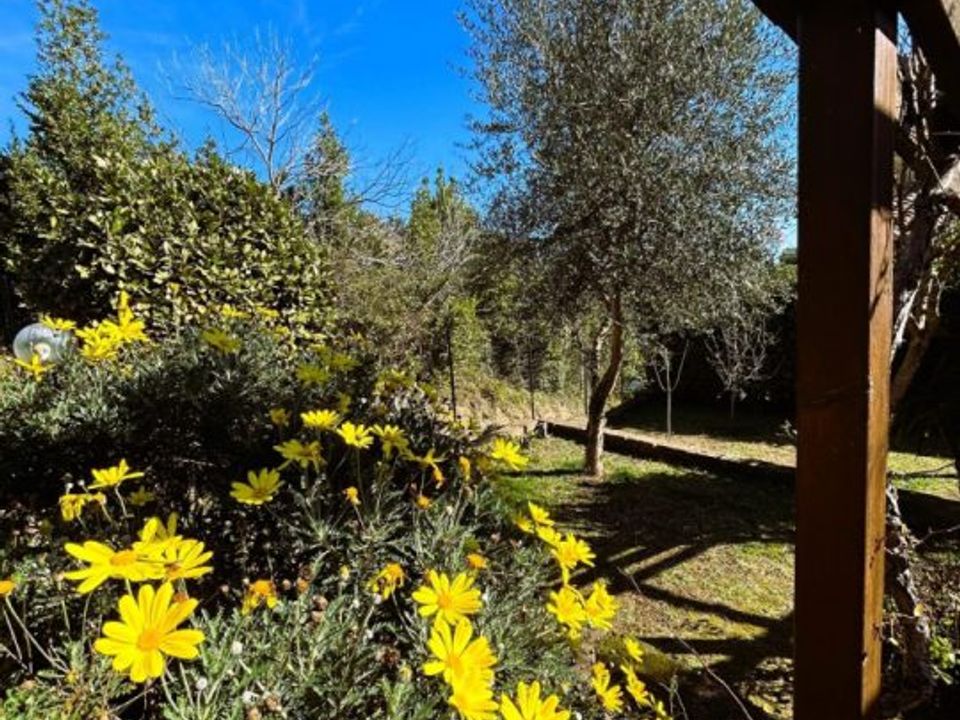 L'establiment comercial a Castelnuovo di Porto, Rome - foto 1