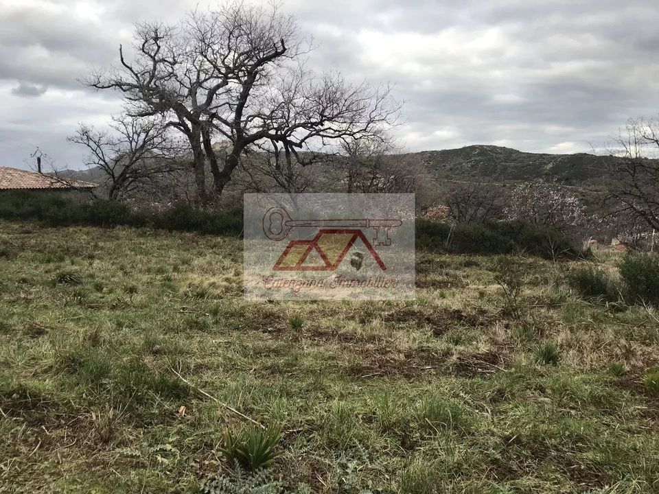 Helårsgrund i Cateri, Haute-Corse - foto 3