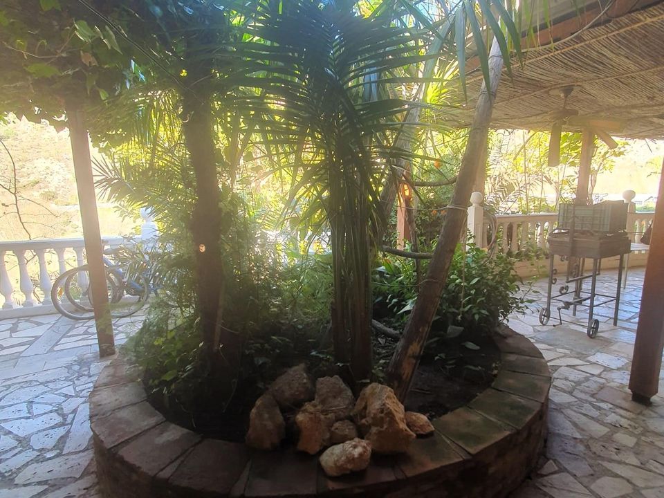 Finca i Velez De Benaudalla, Granada - foto 4