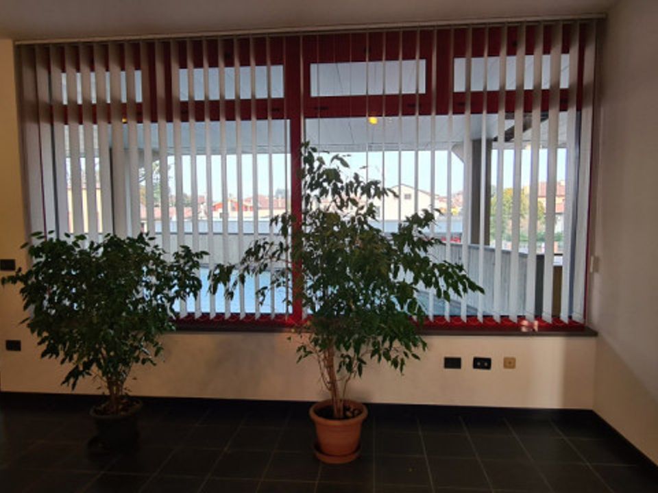 Erhvervsejendom i Castelfranco Veneto, Treviso - foto 3
