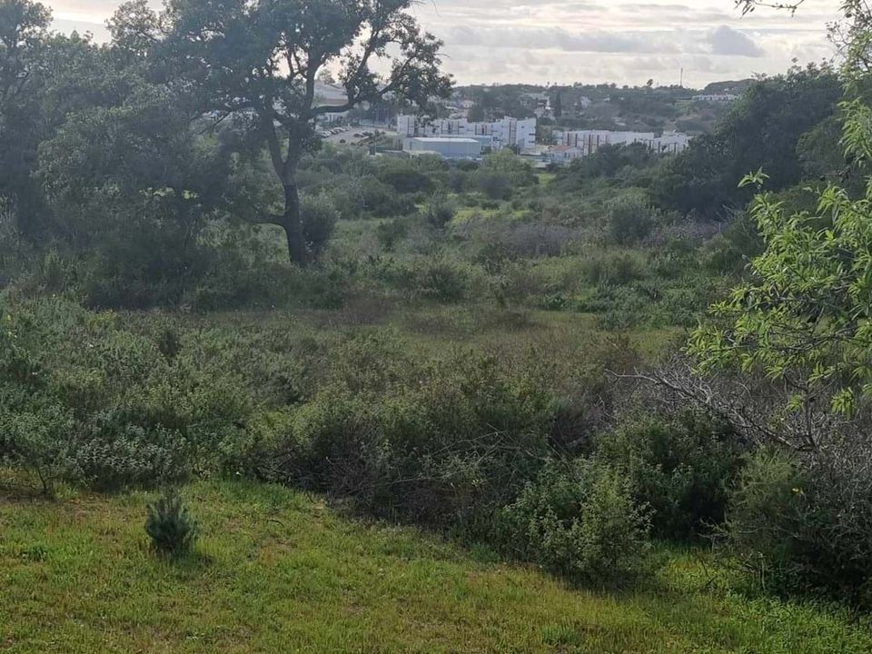 Helårsgrund i Lagoa, Faro - foto 2