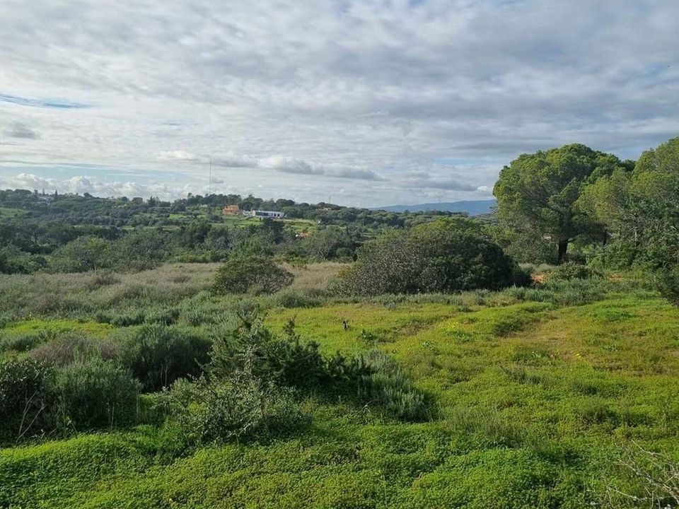 Helårsgrund i Lagoa, Faro - foto 3