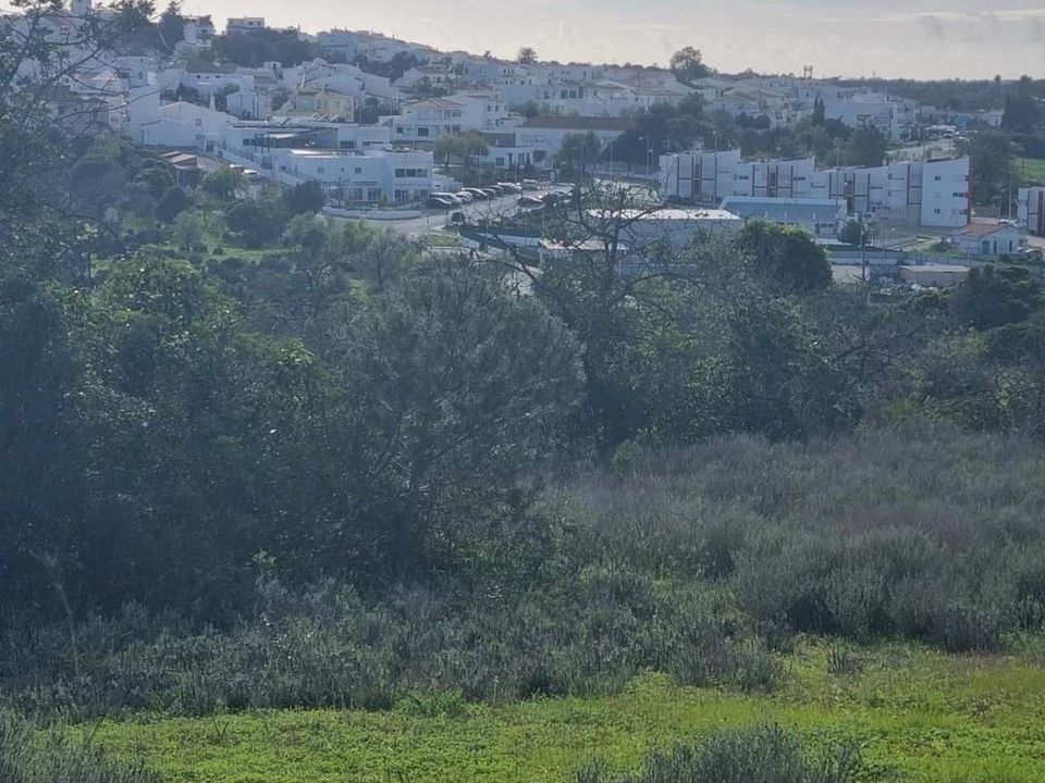 Helårsgrund i Lagoa, Faro - foto 5