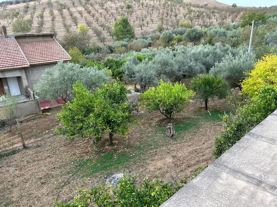Villa i Caltanissetta, Caltanissetta - foto 3