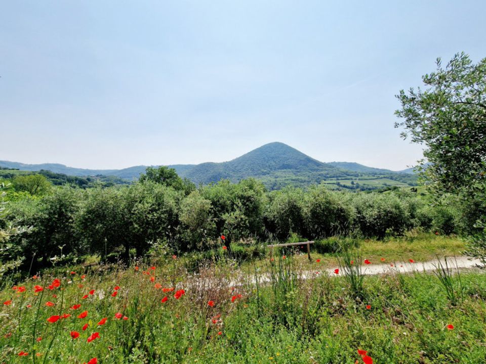 Landejendom i Cinto Euganeo, Padua - foto 3