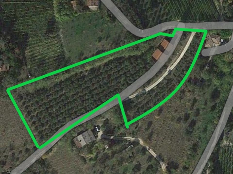 Landejendom i Cinto Euganeo, Padua - foto 4