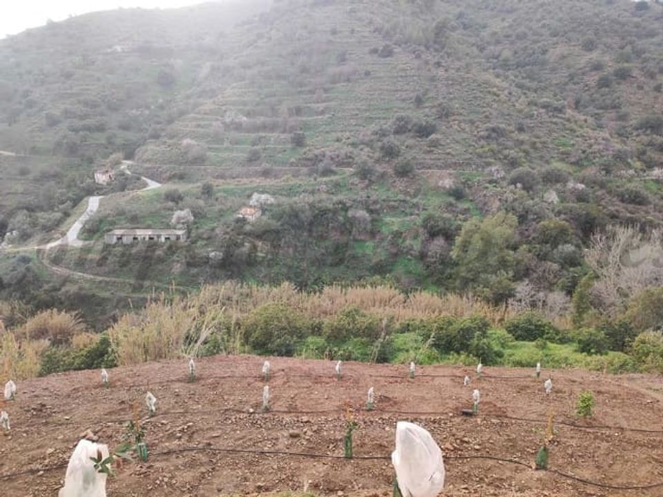 Helårsgrund i Torrox, Malaga - foto 1