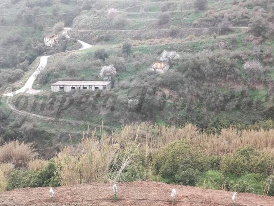 Helårsgrund i Torrox, Malaga - foto 2