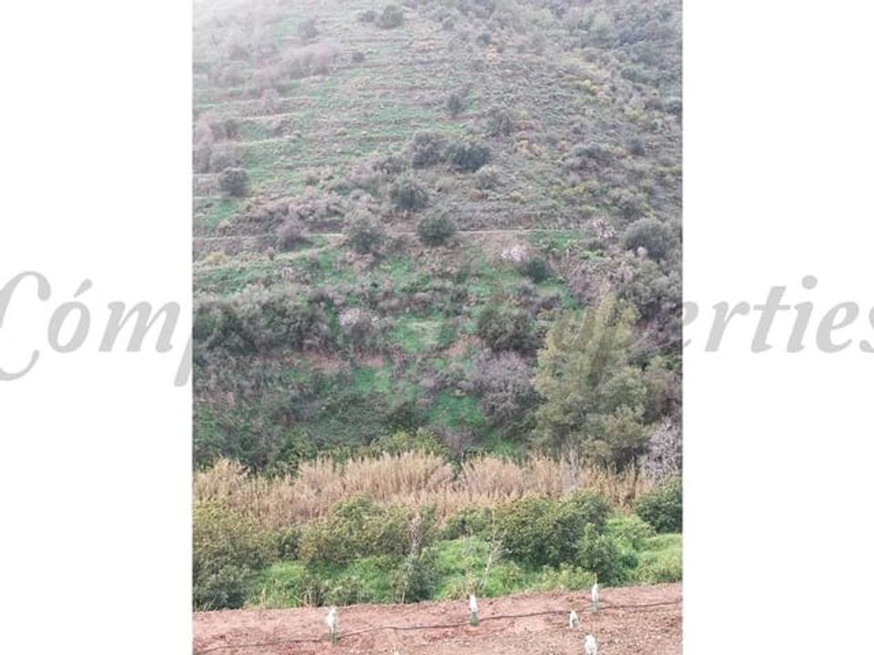 Helårsgrund i Torrox, Malaga - foto 4