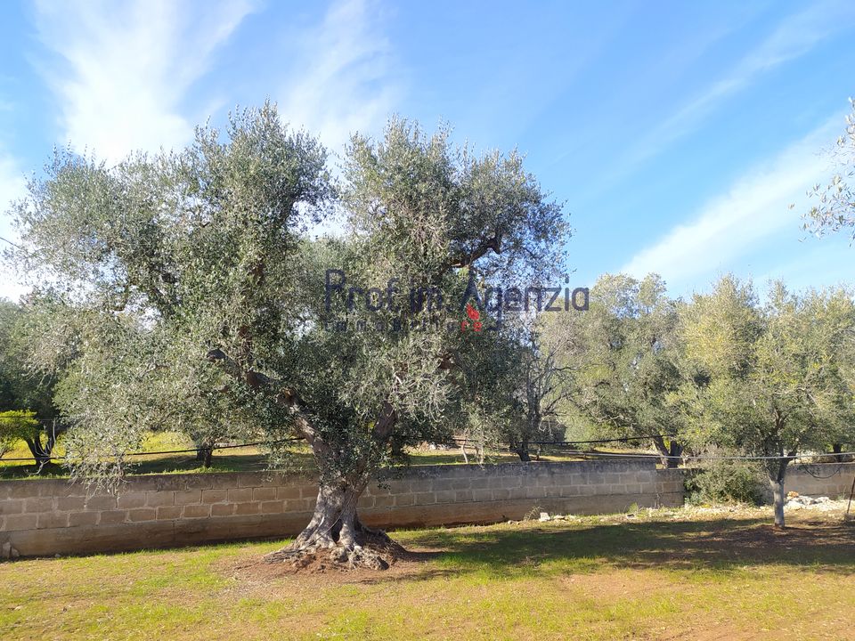 Helårsgrund i Carovigno, Brindisi - foto 1
