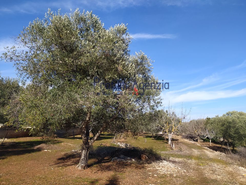 Helårsgrund i Carovigno, Brindisi - foto 5