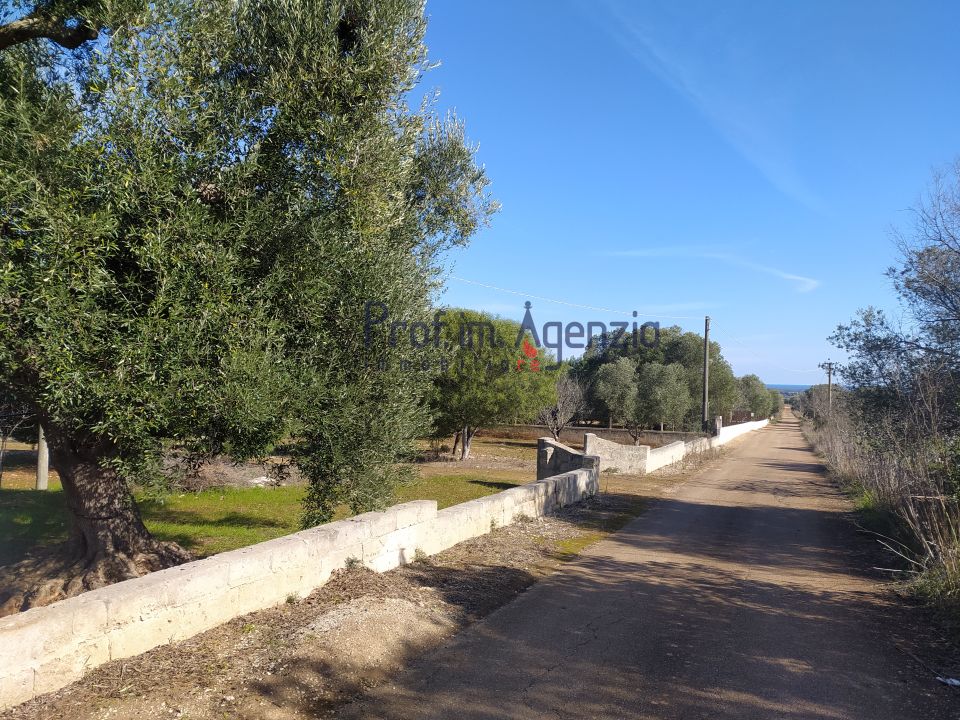 Helårsgrund i Carovigno, Brindisi - foto 3