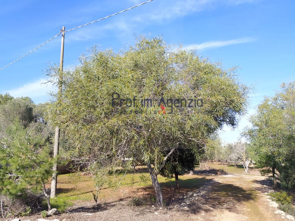 Helårsgrund i Carovigno, Brindisi - foto 4